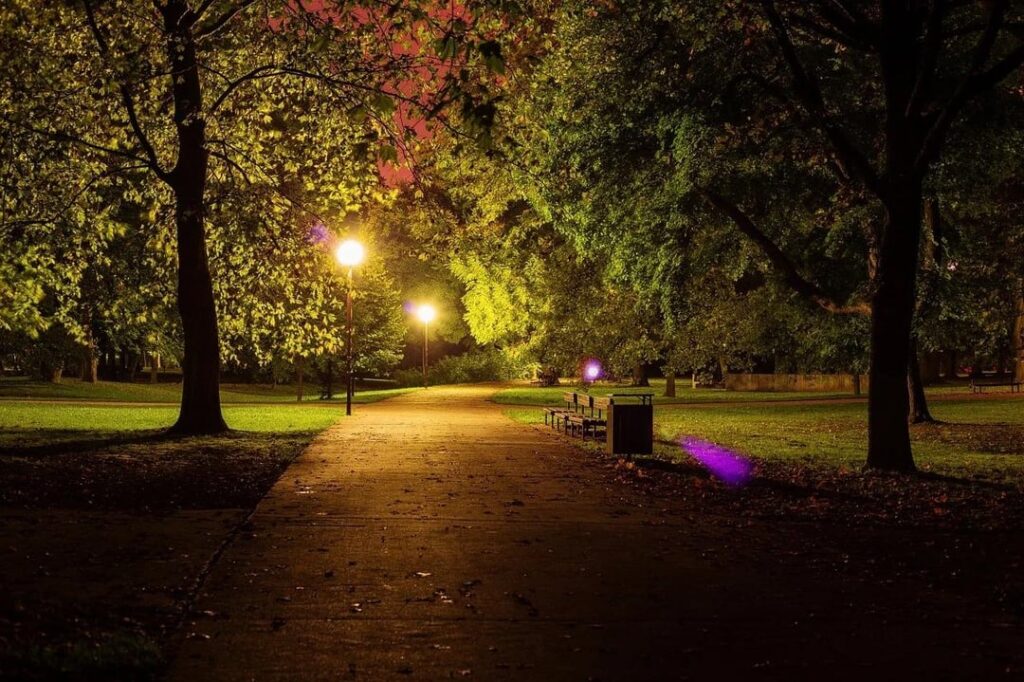 Who likes late night walks?