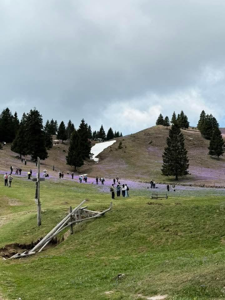 Great mountain range...