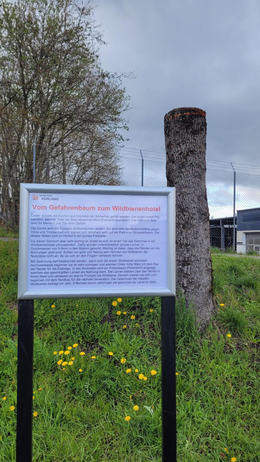 This is so cute, Rümlang!