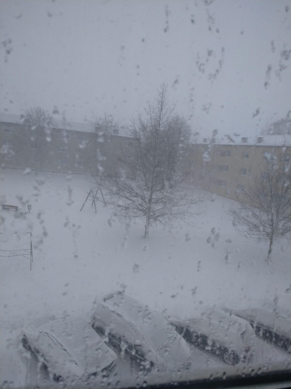 now say who ordered this blizzard??