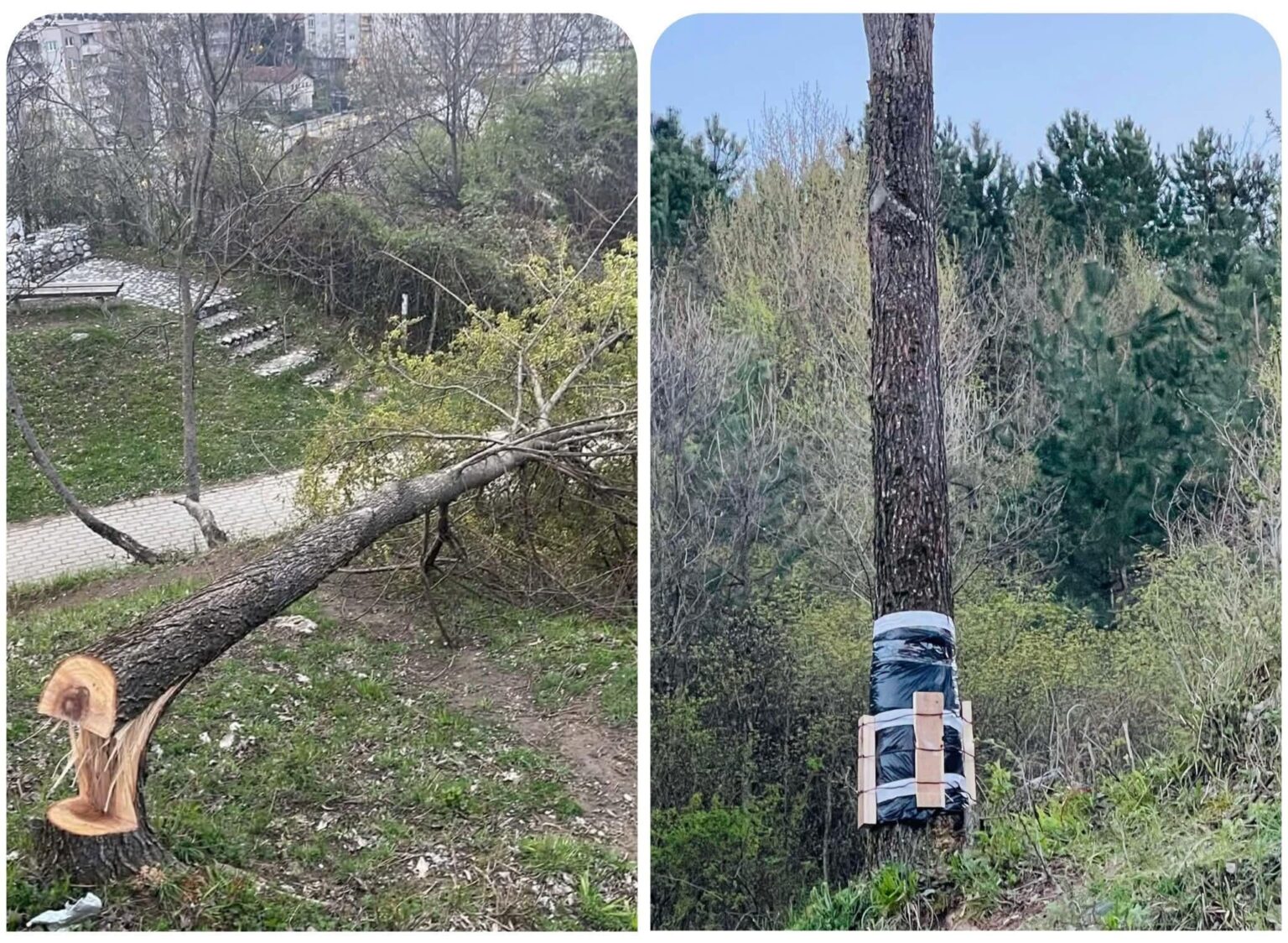 Do you think it's worth it?