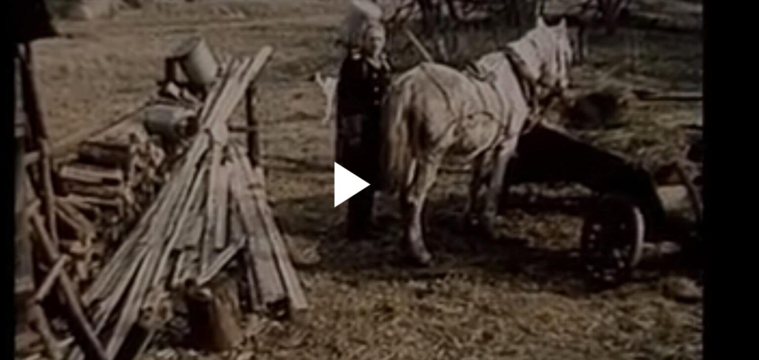 “Clean the horse. Because it’s like in a cow farm”… "Clean the horse. Because it's like in a cow farm"...