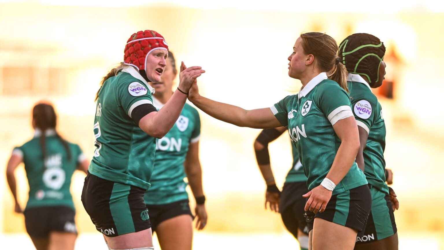 Wafer and Hogan to the fore as Ireland wear down Wales Wafer and Hogan to the fore as Ireland wear down Wales
