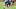 New England Patriots cornerback Logan Collier New England Patriots cornerback Logan Collier