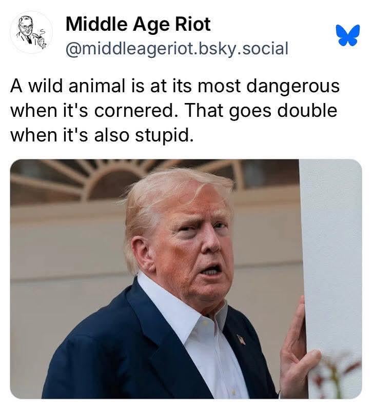 And triple when it's rabidly demented.