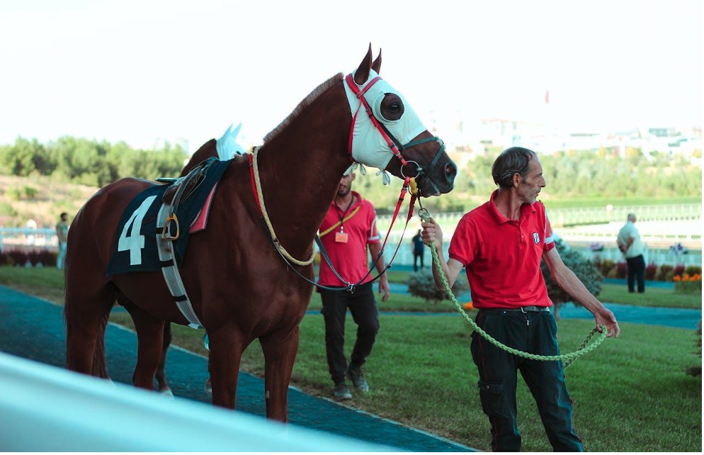 CityWatch LA – The Billion-Dollar Thoroughbred Economy: Market Insights Into The Business of Horse Racing in 2026 CityWatch LA - The Billion-Dollar Thoroughbred Economy: Market Insights Into The Business of Horse Racing in 2026