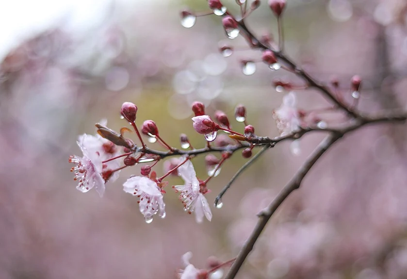 Precipitation is expected, and the air temperature will rise