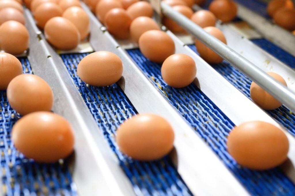 BASF Adds Food-Contact Grades to Ultradur Portfolio
