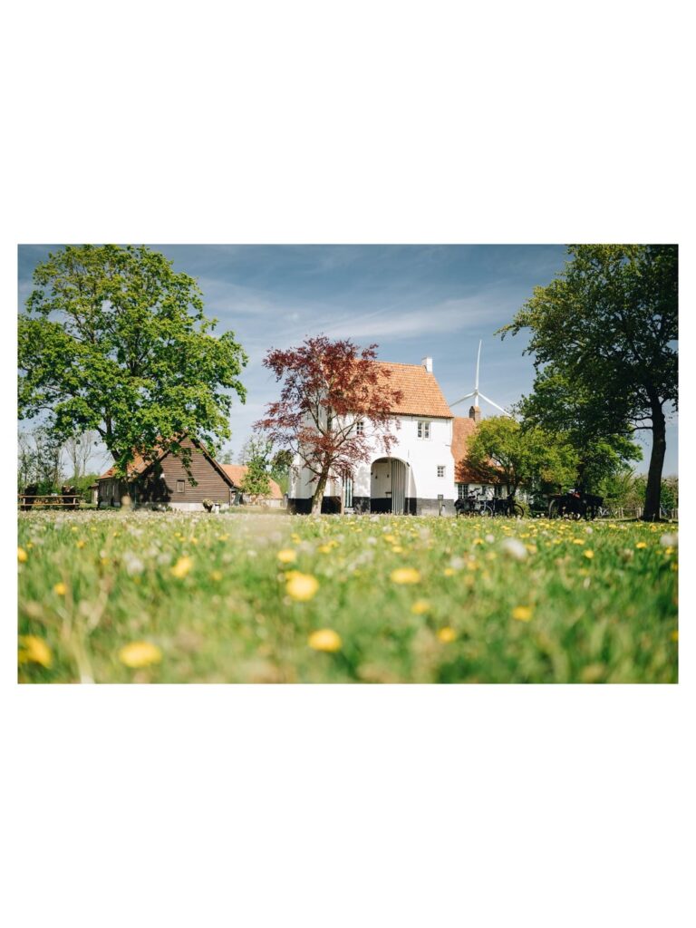 Flanders in may
