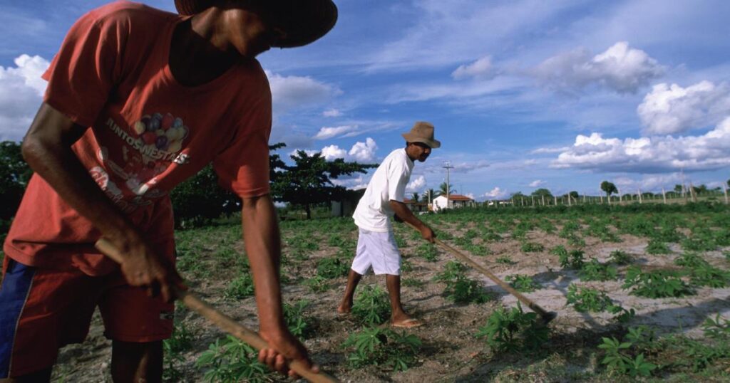 Moldova. Six out of ten agricultural workers work informally and are deprived of social protection Moldova. Six out of ten agricultural workers work informally and are deprived of social protection