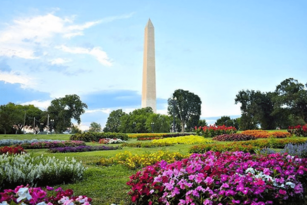 Washington D.C. monument garden
