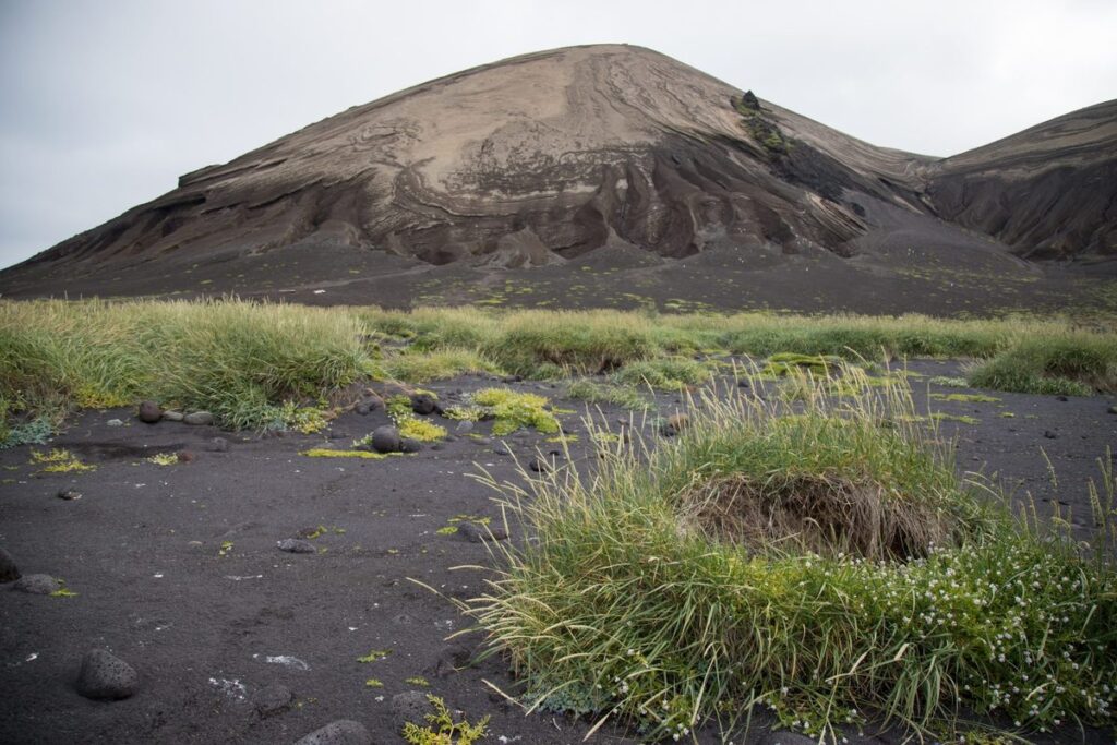 It was forged by fiery underwater explosions. Today, it’s a “natural laboratory” for researchers and tourists are banned Surtsey island