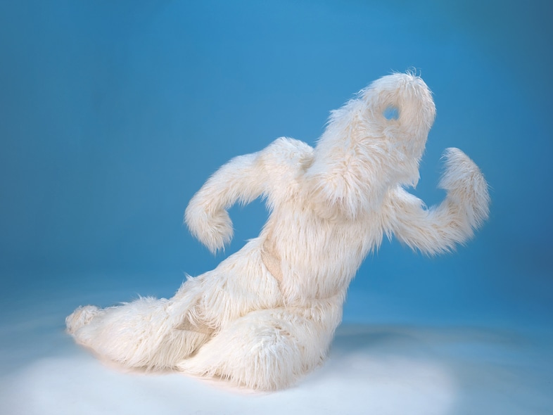 Ásta Fanney Sigurðardóttir, Hero Form (2026)