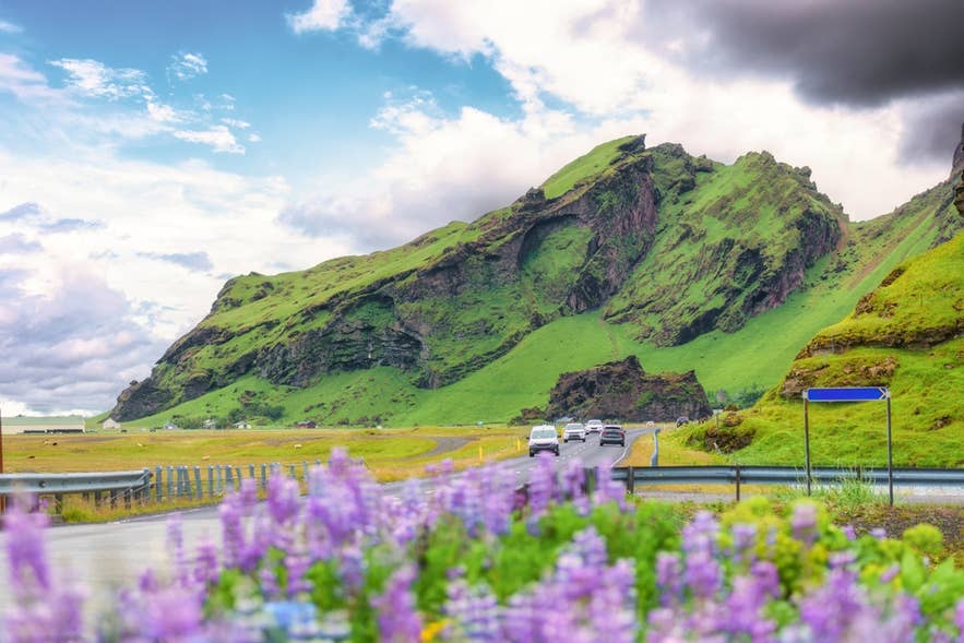 Scenic drive through green mountains and wildflowers, showcasing nature—one of the top reasons to visit Iceland. Scenic drive through green mountains and wildflowers, showcasing nature—one of the top reasons to visit Iceland.