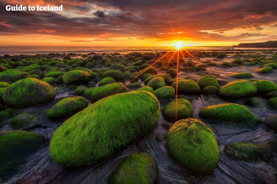 Moss covered rocks sit in the light of the midnight sun in Iceland. Moss covered rocks sit in the light of the midnight sun in Iceland.