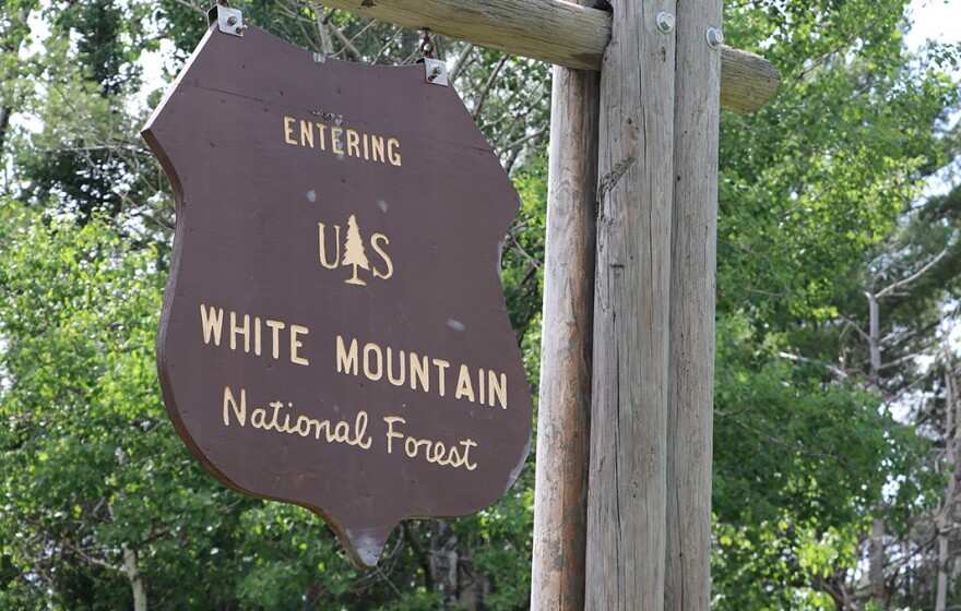 White Mountain National Forest sign in Easton, NH. Dan Tuohy photo / NHPR. NHPR.org