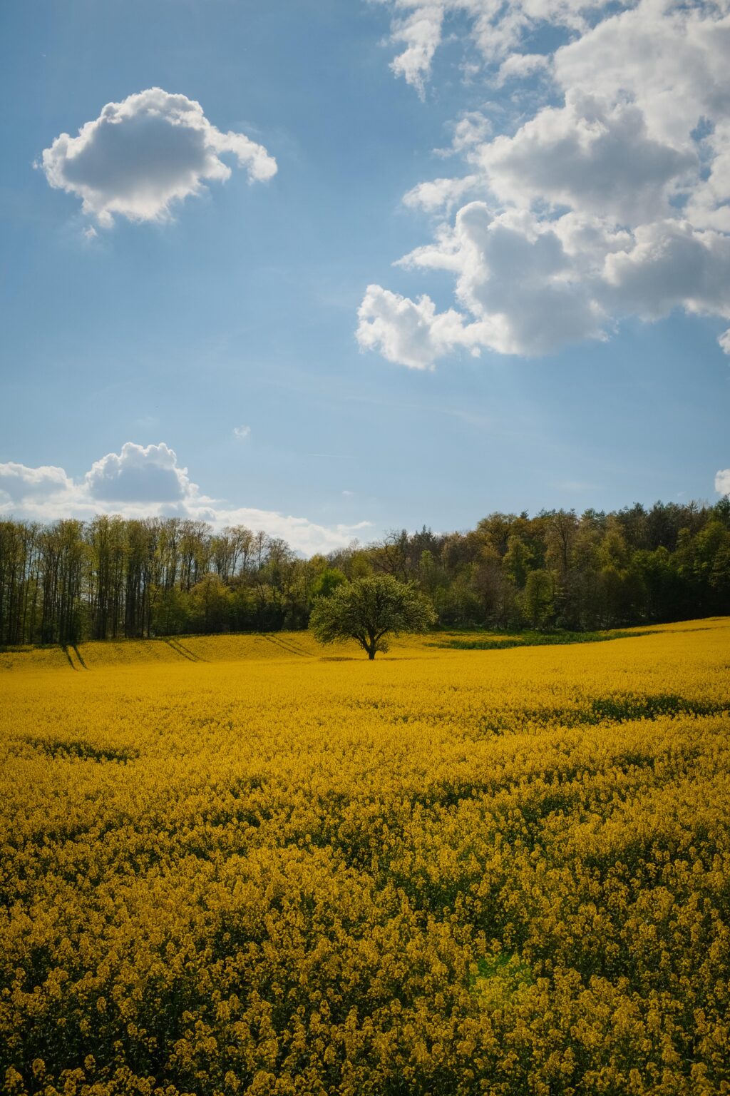 I pass this beautiful place every day on my way to work. The first one to guess where this is, gets a big Milka chocolate!
