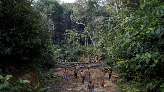 Amazon rainforest may hit tipping point at 1.9°C global warming: Study Hindustan Times News