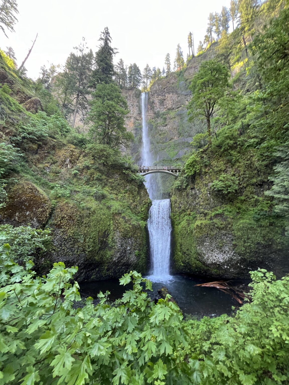 Multnomah Falls Columbia River Gorge Oregon(OC) [4032 x 3024]