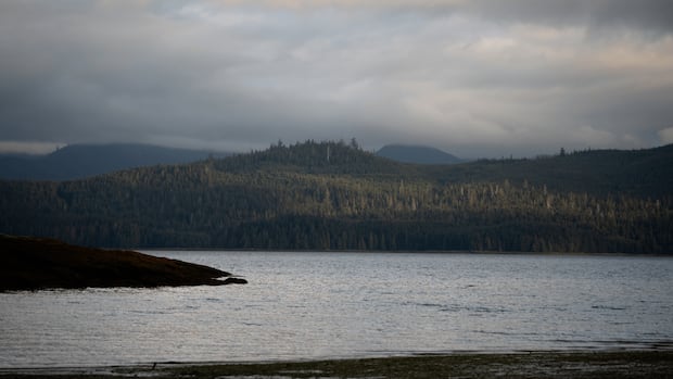 4.0 magnitude earthquake rattles Haida Gwaii residents 4.0 magnitude earthquake rattles Haida Gwaii residents