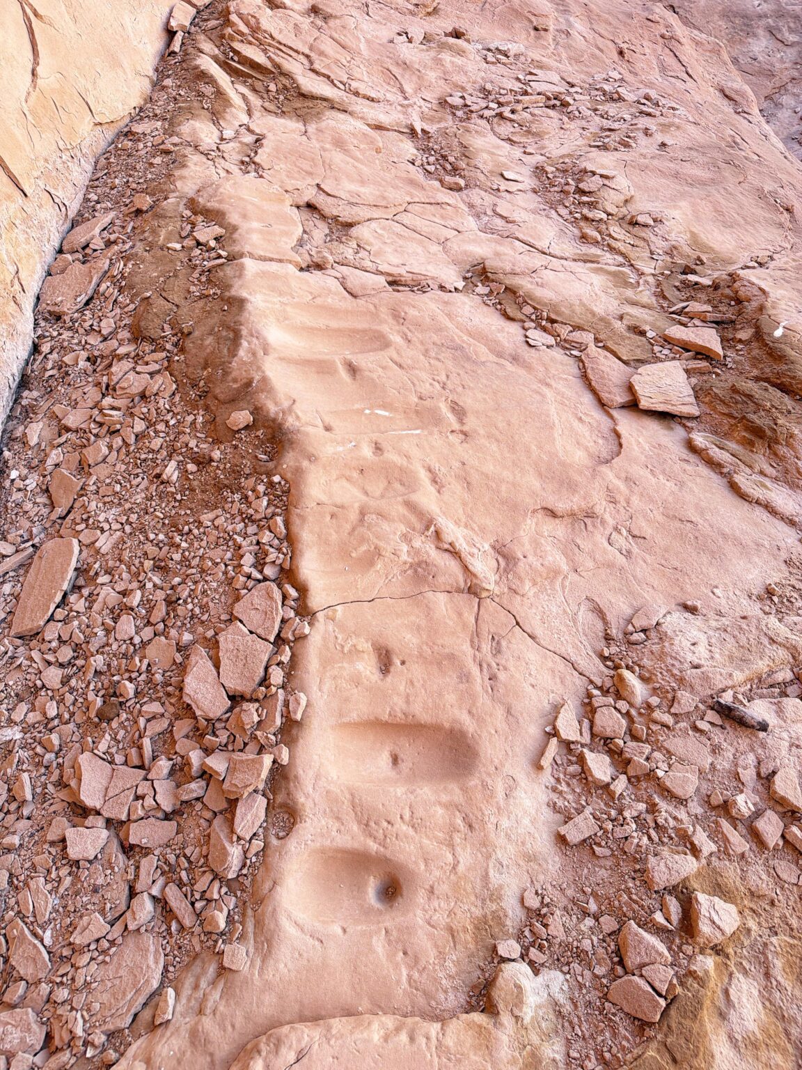 In an alcove near Bluff Utah. Such an amazing spot.