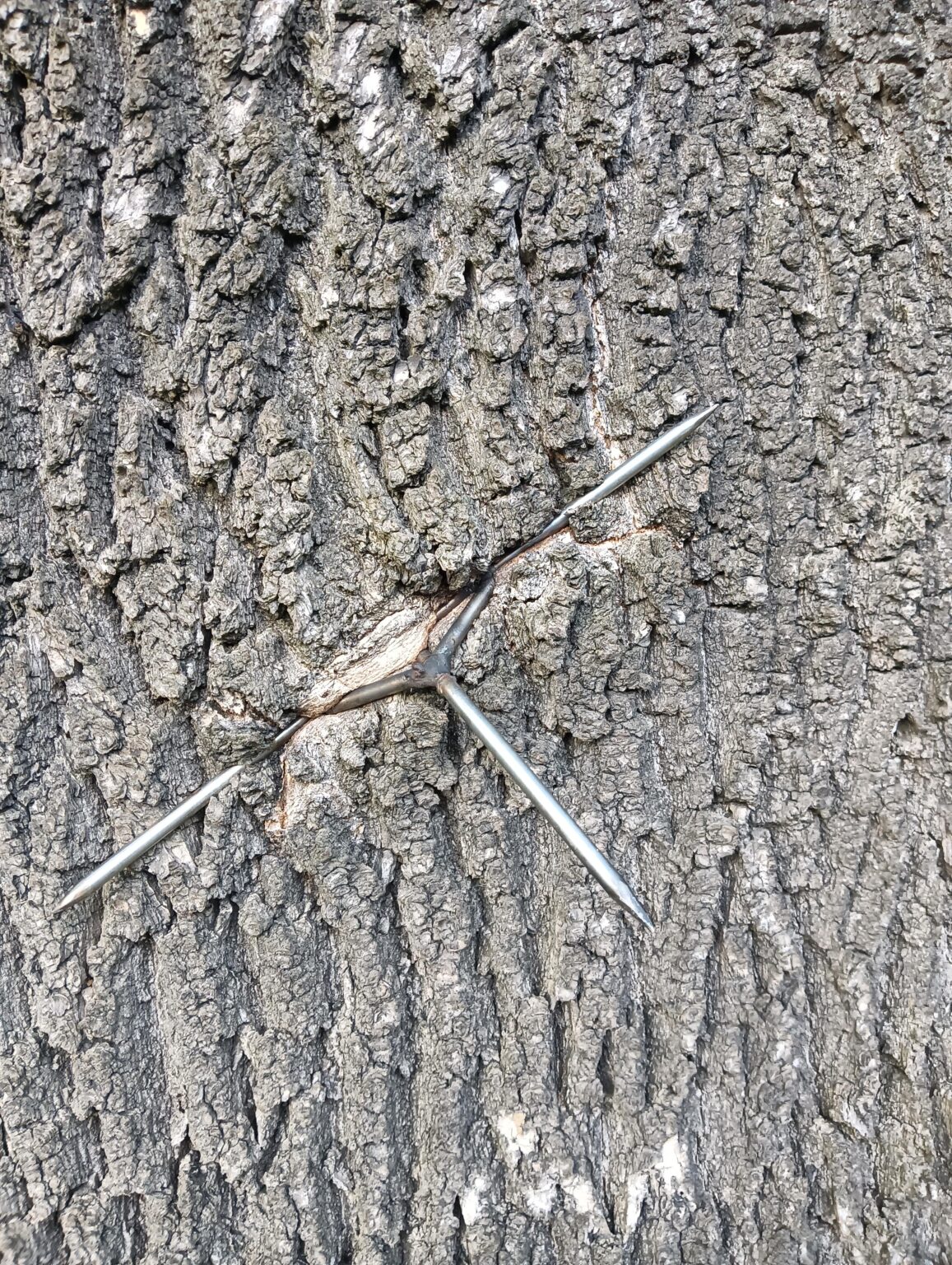 What is this?