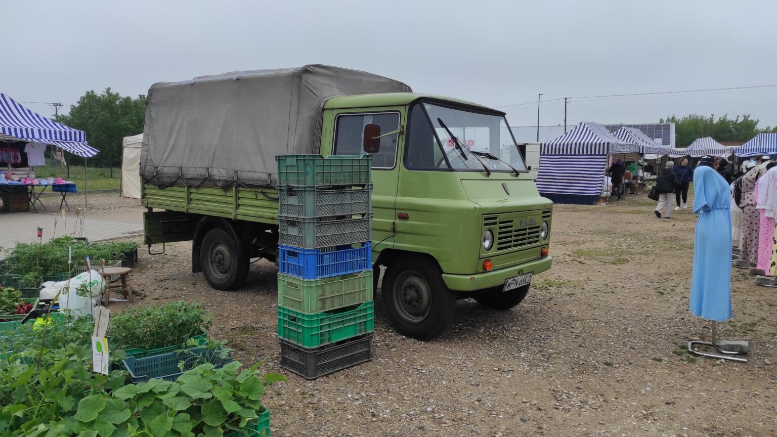 You already know that these will be the best vegetables in your life
