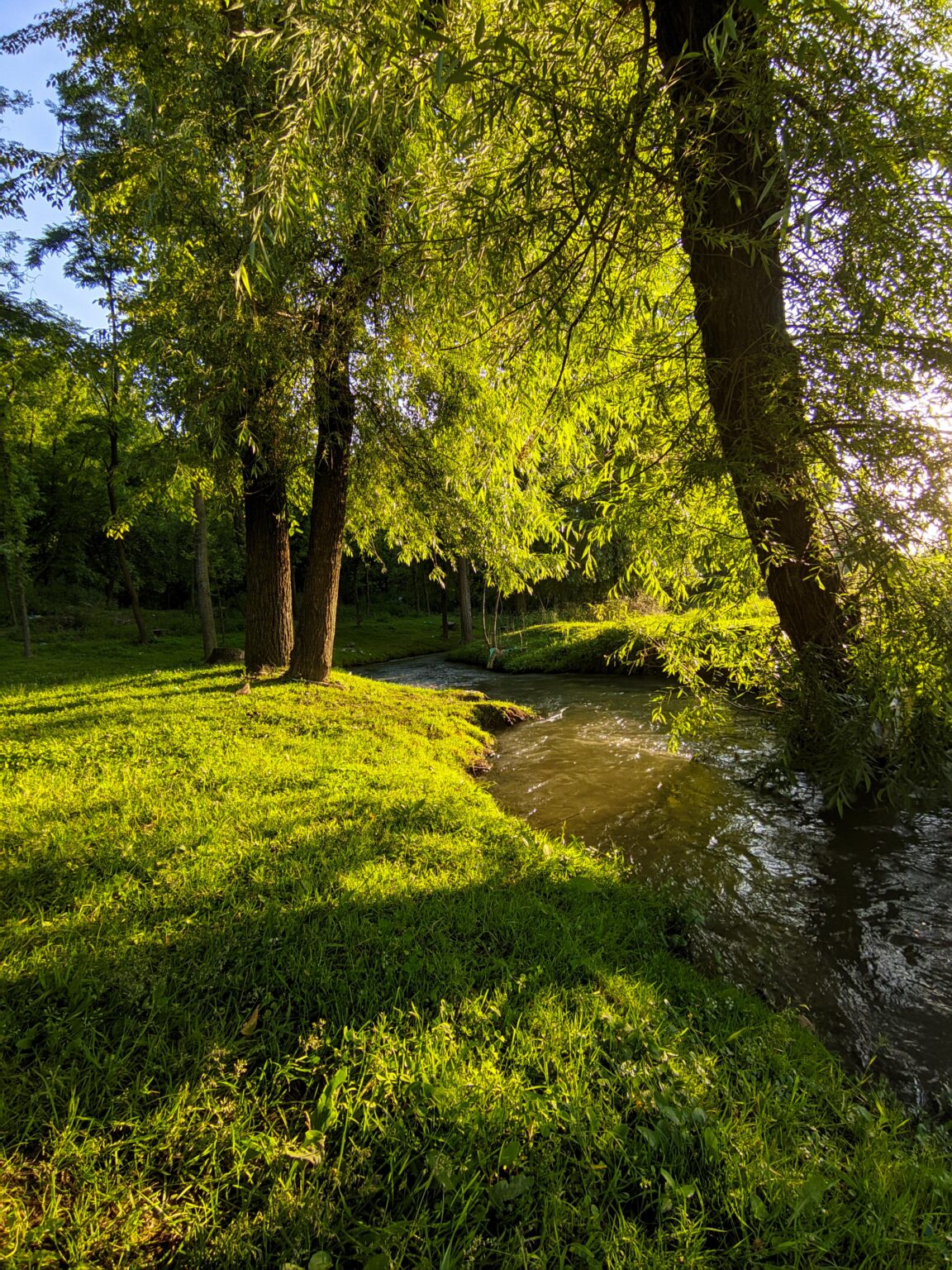 A random resting spot on the bank of a stream in my village, Kashmir.