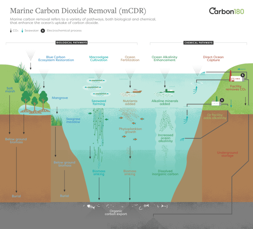 This image shows the process of marine carbon dioxide removal.