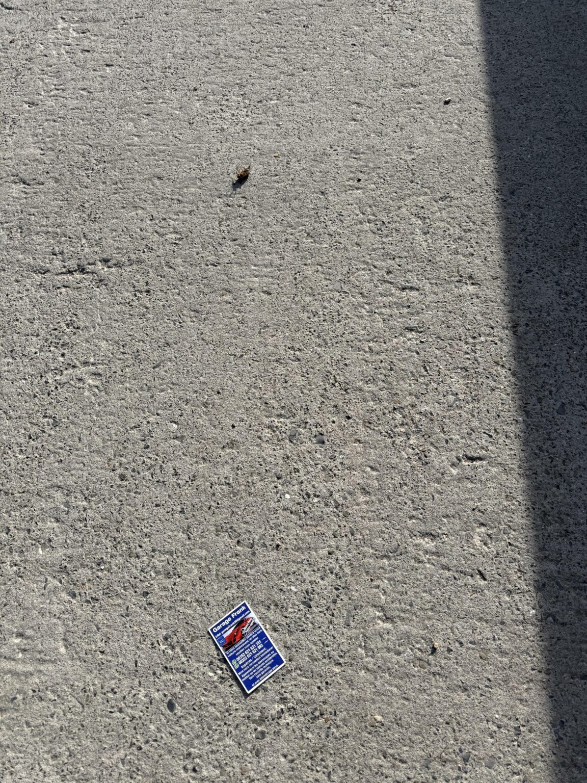 Garage Franck is toxic to cockroaches