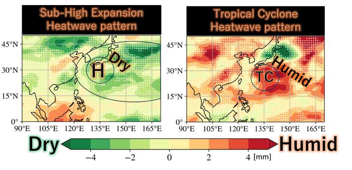 Humidity during two distinct types of heat wave.
