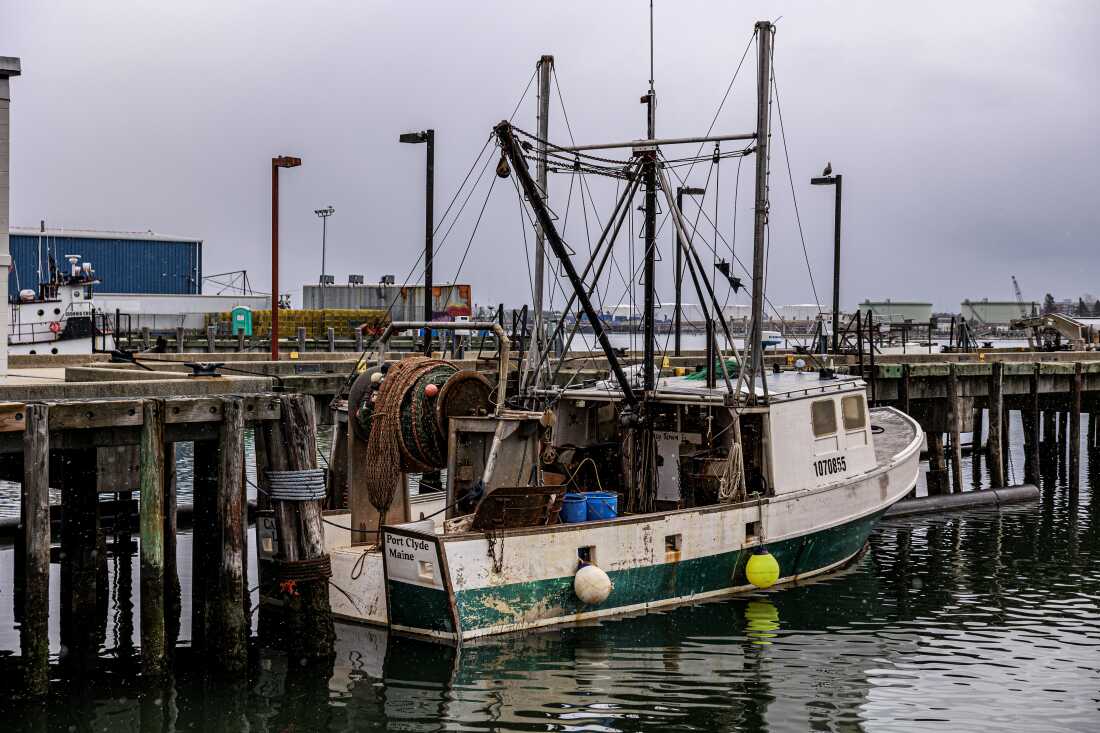 A fish boat is docked at the Portland Fish Exchange.