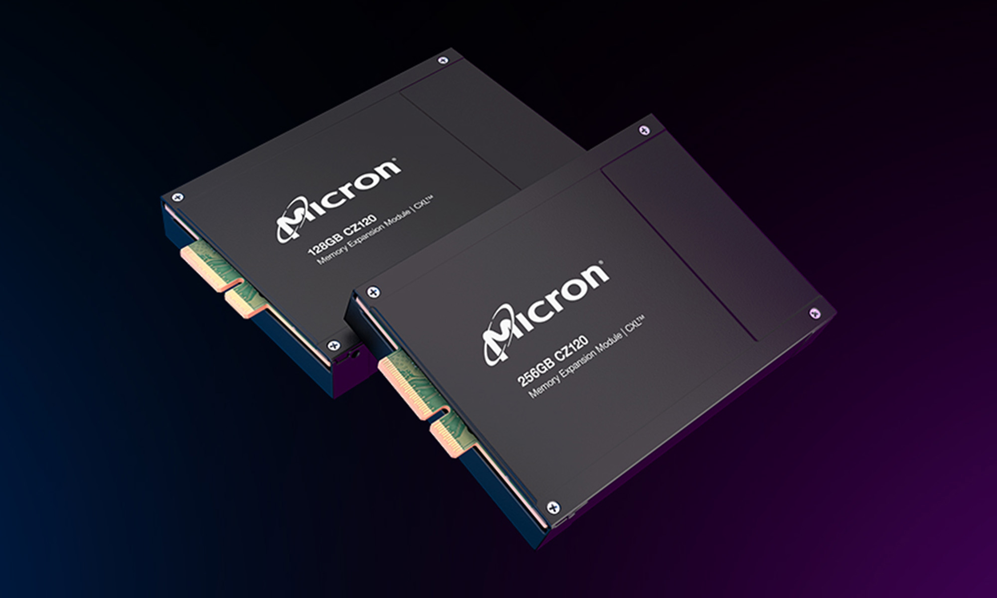 Micron storage drives.