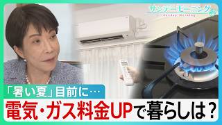 Energy Crisis Sparks Fresh Wave of Price Hikes Across Japan