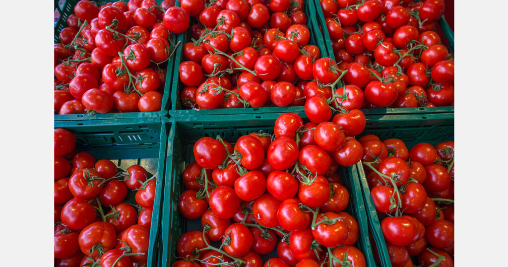 Turkey challenges Ukraine’s 26.9% tomato and 22.8% cucumber duties