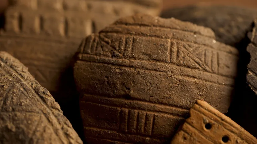 Ancient ‘beer’ traces found  in 4,500-year-old vessels  in Northeastern Poland