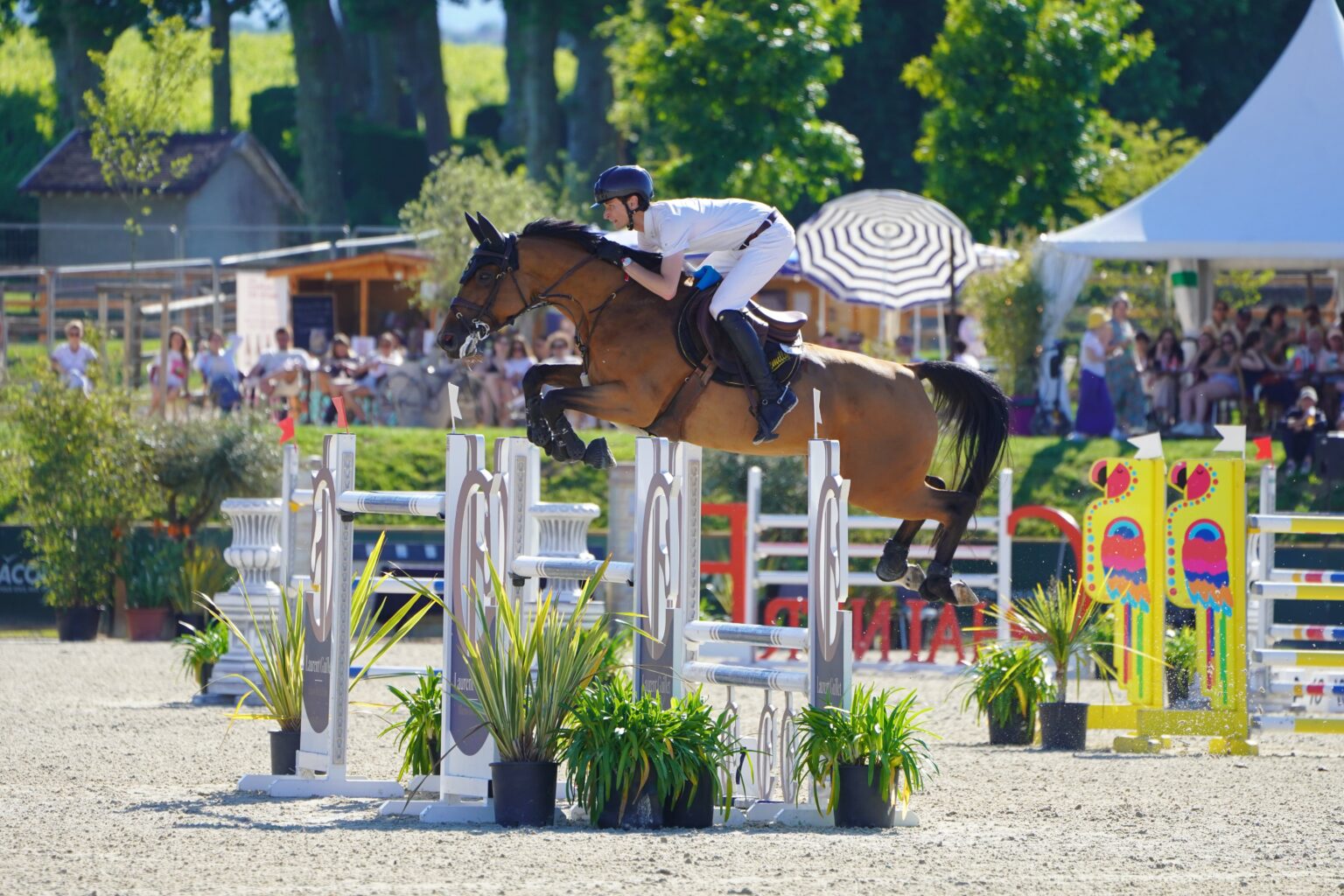 France’s Dylan Levallois claims victory in CSI4* 1.50m Mâcon! France’s Dylan Levallois claims victory in CSI4* 1.50m Mâcon!