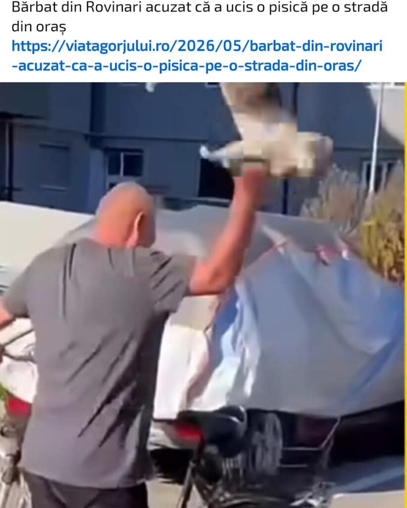 What the hell is going on in Romania?