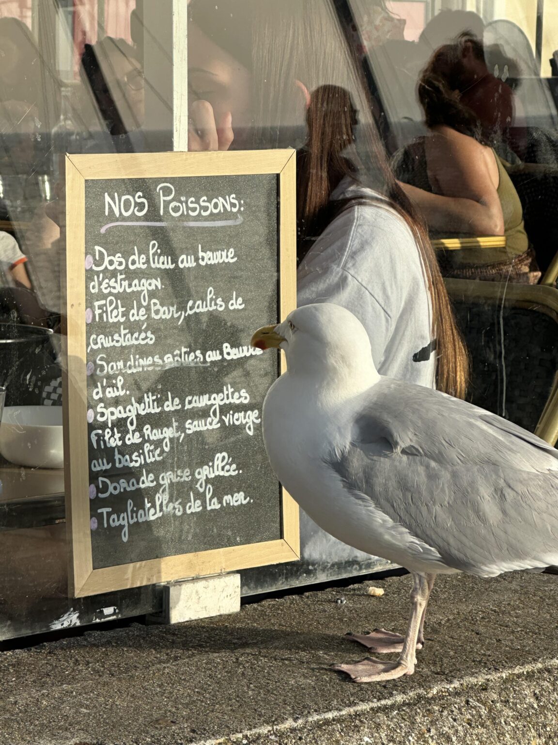 Legend competition: the seagull in the restaurant