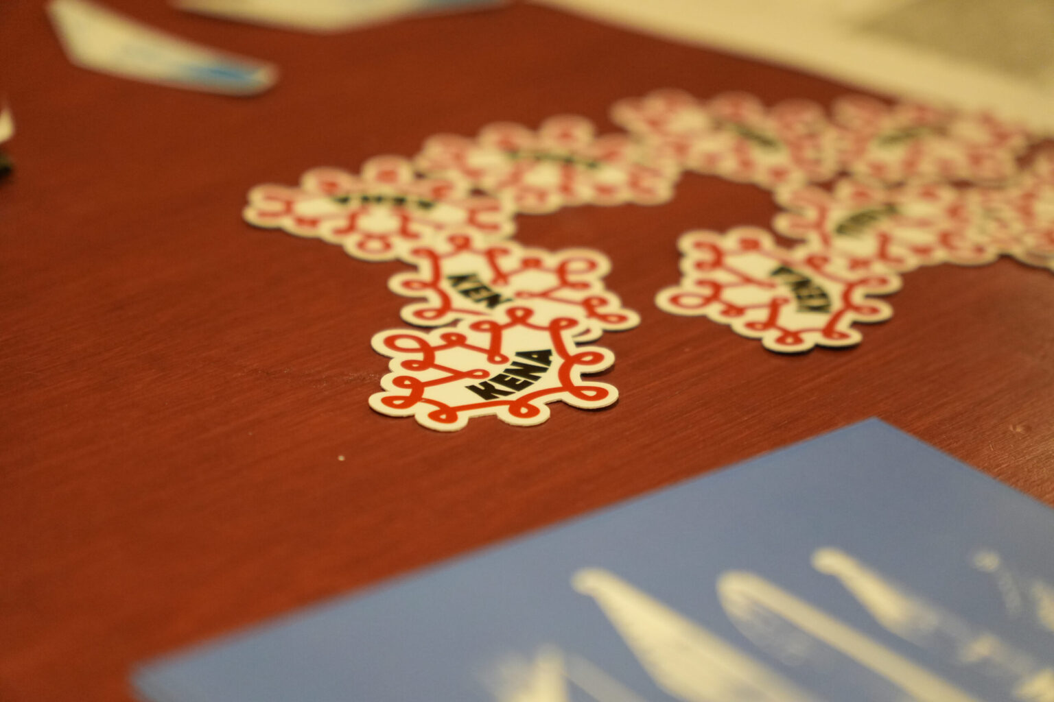 In Conversation with the Founder of KENA (Canadian Estonian Youth Association)