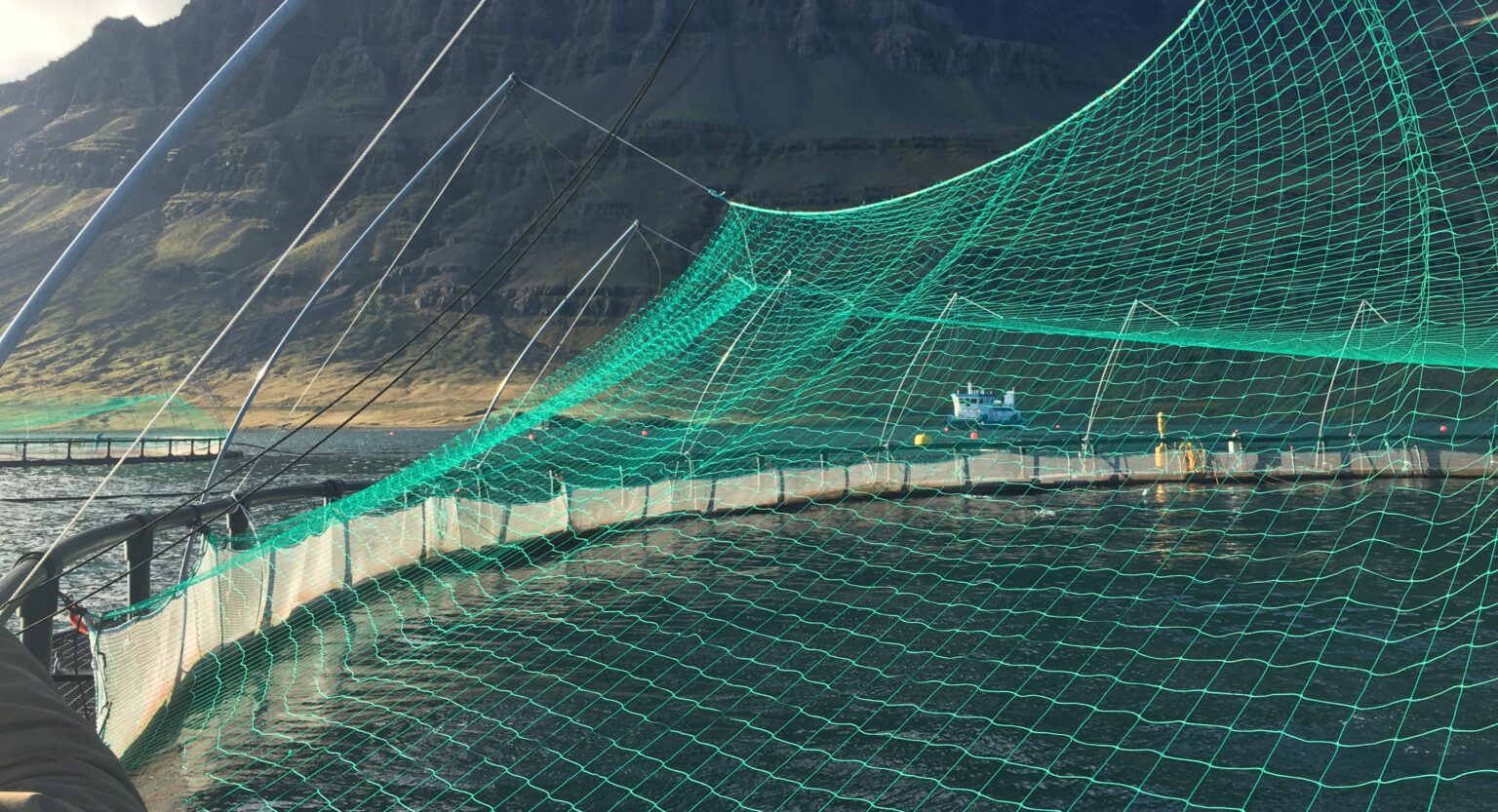 IAOF recap: Present, future Icelandic aquacultures taxes dominate talk IAOF recap: Present, future Icelandic aquacultures taxes dominate talk