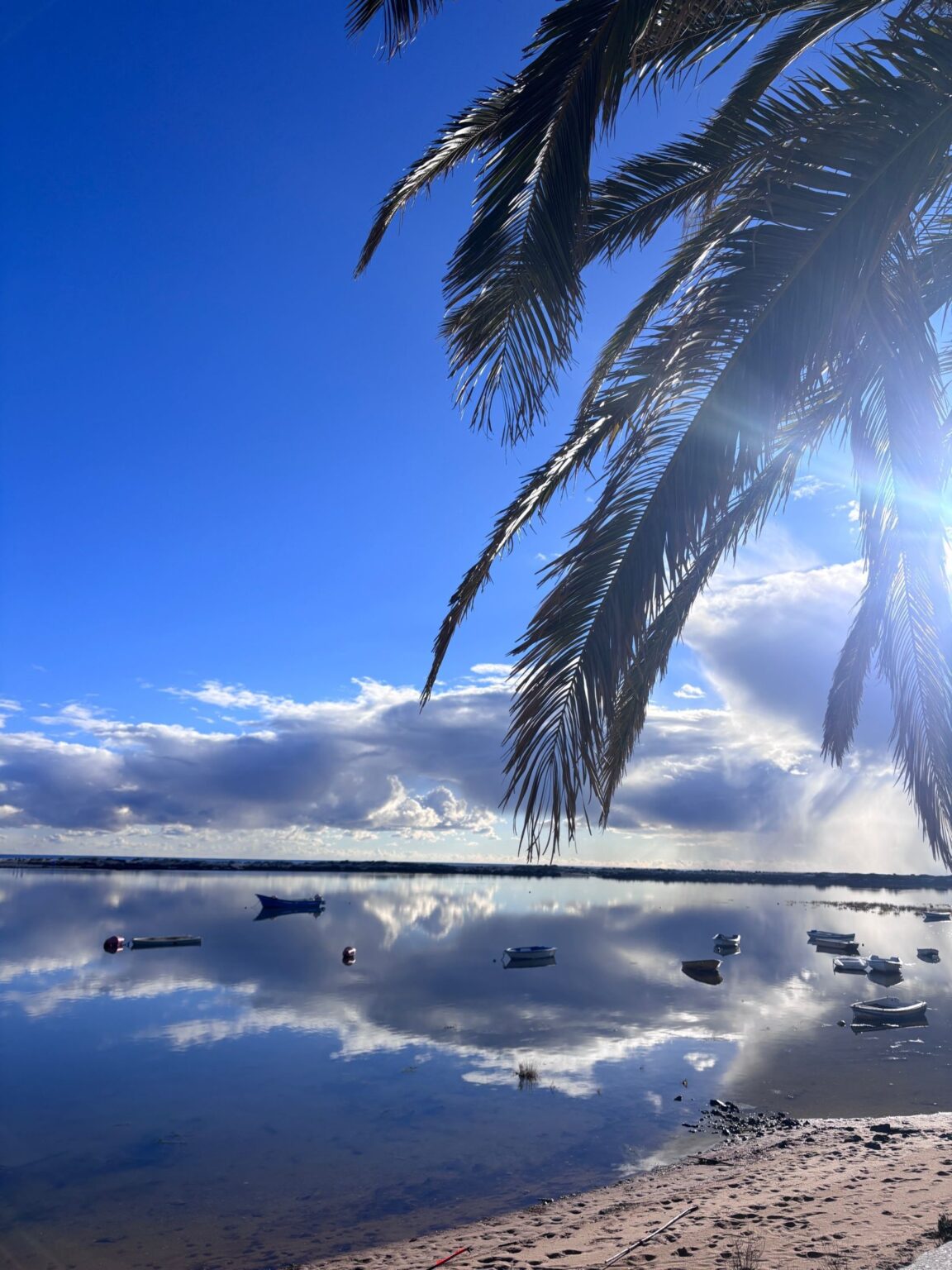 Weekend weather forecast – The Portugal News Weekend weather forecast - The Portugal News
