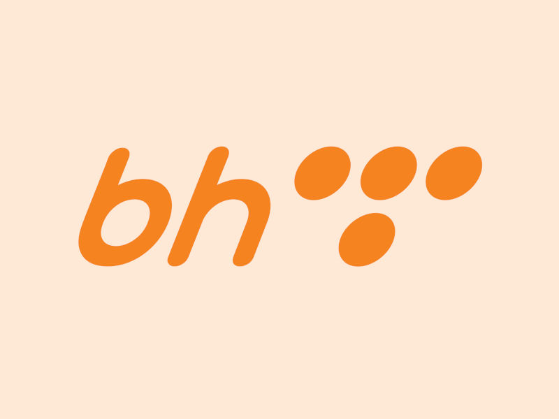 BH Telecom undertakes reorganisation with consultants BH Telecom undertakes reorganisation with consultants