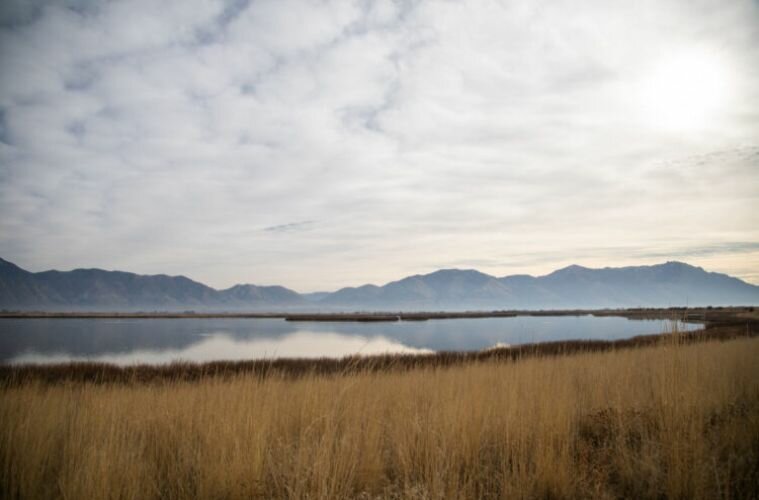 Kevin O'Leary Data Center Approved in Box Elder, Utah
