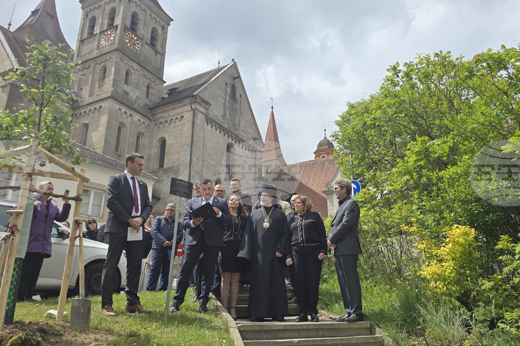 BTA :: Tree of Friendship Between Bulgaria and Baden-Wuerttemberg Planted in Ellwangen BTA :: Tree of Friendship Between Bulgaria and Baden-Wuerttemberg Planted in Ellwangen