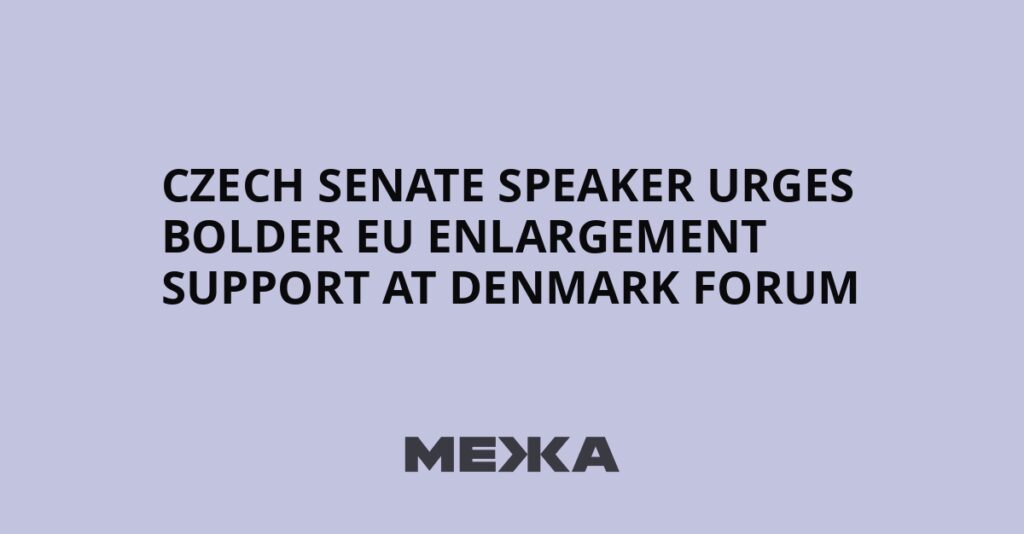 Czech Senate speaker urges bolder EU enlargement support at Denmark forum | Ukraine news