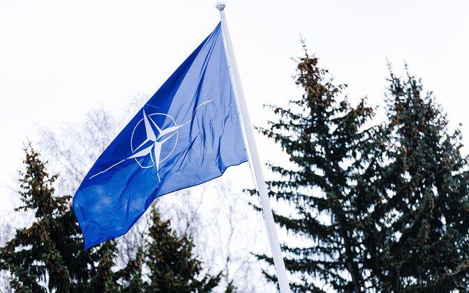 Former EDF chief questions delay in assigning Dutch-German corps to Baltics | News