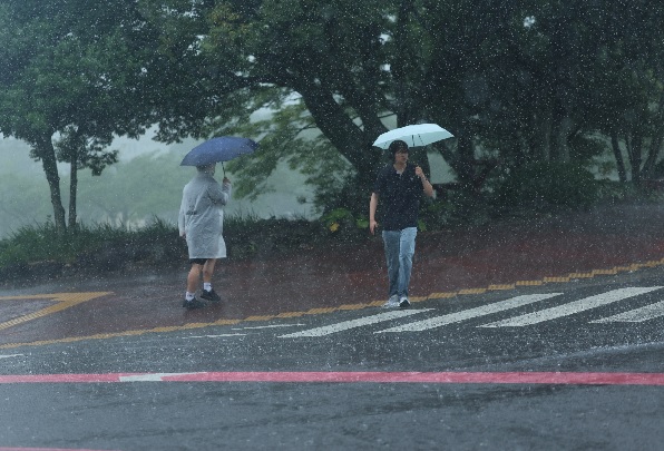 Light Rain Expected Saturday, with Clear and Warmer Weather Sunday