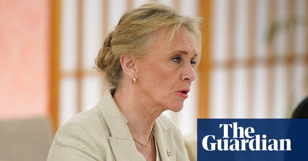 Iceland’s foreign minister fears ‘Brexit moment’ in EU accession referendum | Iceland Iceland’s foreign minister fears ‘Brexit moment’ in EU accession referendum | Iceland