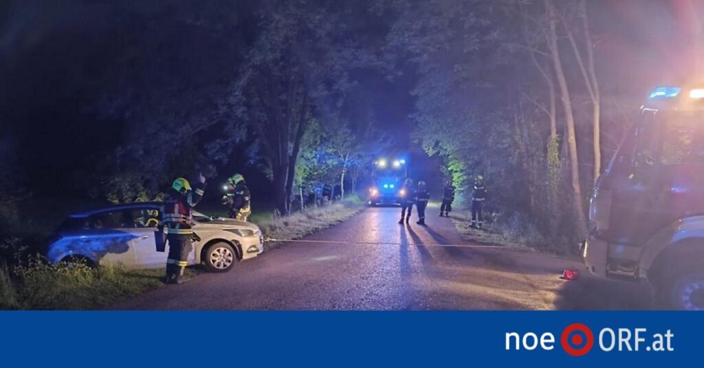 Drunk driving: FPÖ MP loses driving license